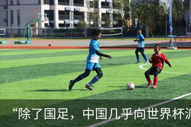 “除了国足，中国几乎向世界杯派去了一切”