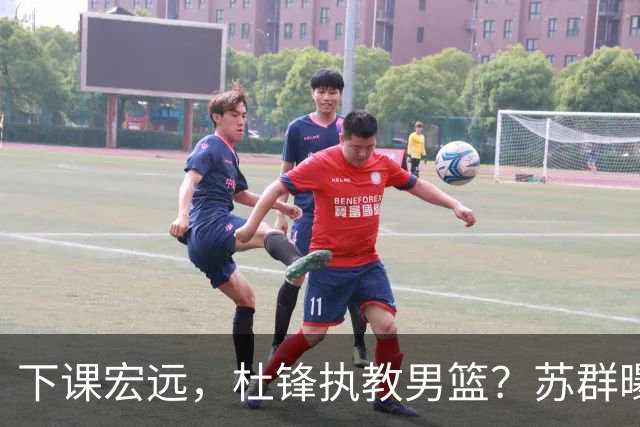 下课宏远，杜锋执教男篮？苏群曝料，1年计划曝光，宏远新帅曝光