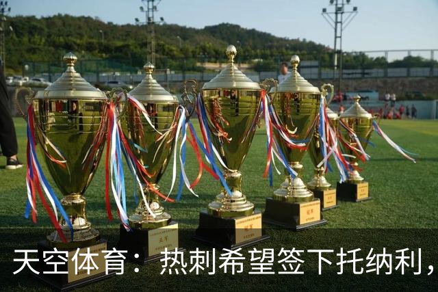 天空体育：热刺希望签下托纳利，他是德泽尔比的头号目标