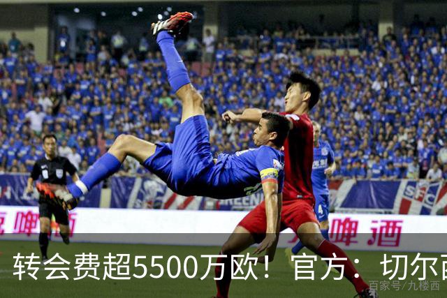 转会费超5500万欧！官方：切尔西签下21岁帕莱斯特拉，签约7年